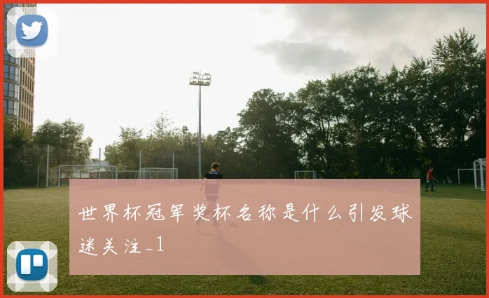 世界杯冠军奖杯名称是什么引发球迷关注_1