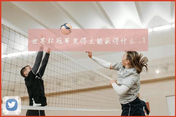 世界杯冠军奖得主能获得什么 _1