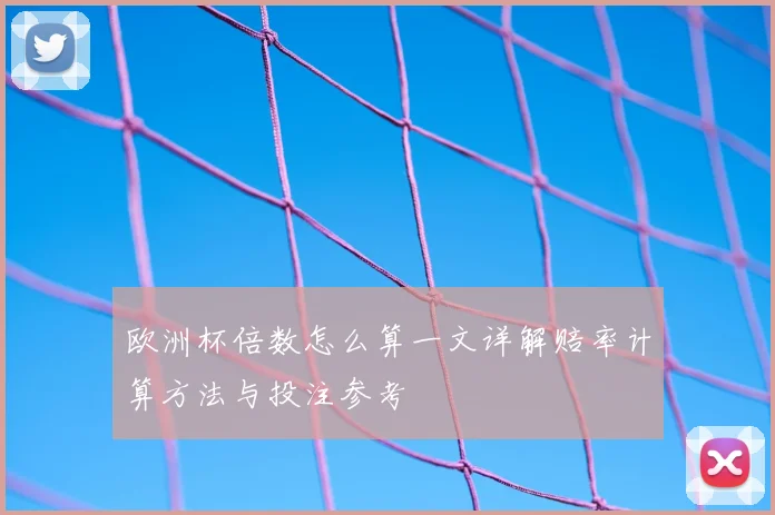 欧洲杯倍数怎么算一文详解赔率计算方法与投注参考