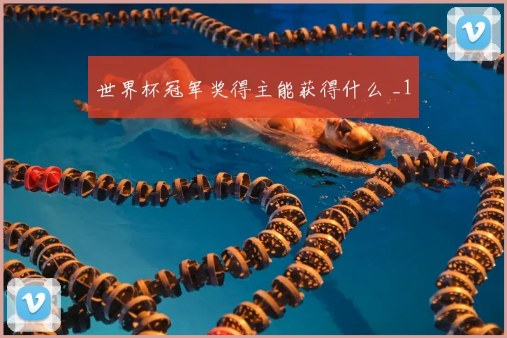 世界杯冠军奖得主能获得什么 _1