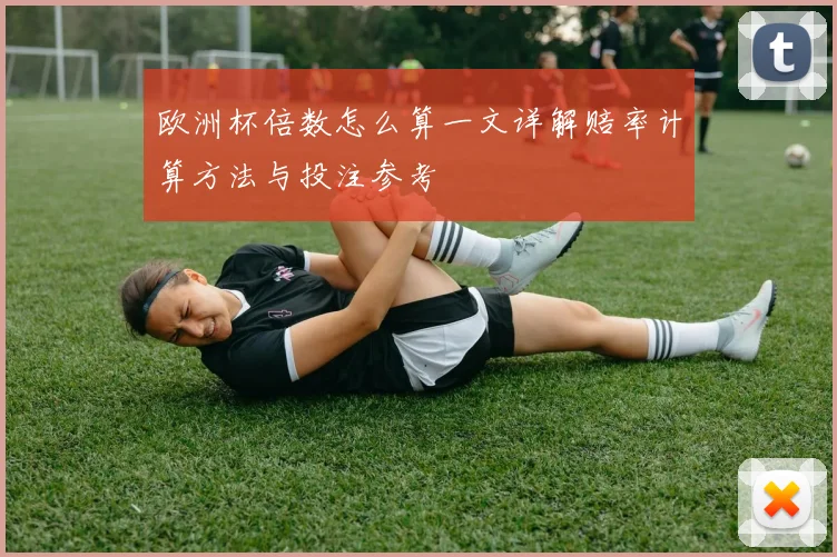 欧洲杯倍数怎么算一文详解赔率计算方法与投注参考