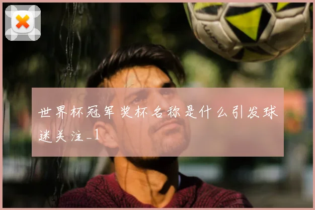 世界杯冠军奖杯名称是什么引发球迷关注_1