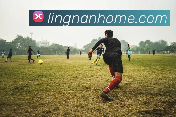 世界杯app官网平台生态图